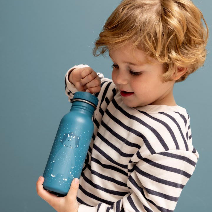 Rostfri Blå Vattenflaska i Stål - 350 ml - Triceratops